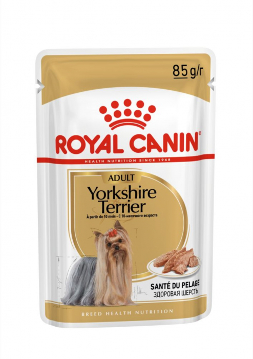 royal-canin-shih-tzu-adult-hrana-umeda-caine-pate-12-x-85-g-copie-7372782317