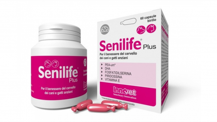 senilife-60-capsule-2291-8883