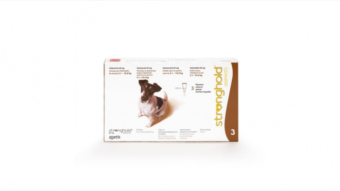 stronghold-caine-30-mg-2-6-5-kg-3-pipete-copie-1243-4706