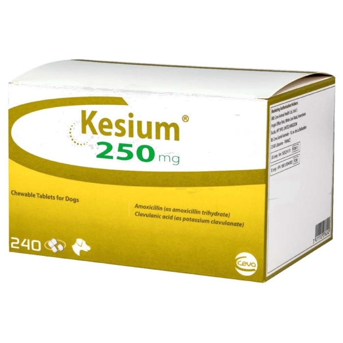 synulox-250-mg-10-tablete-copie-807-8598