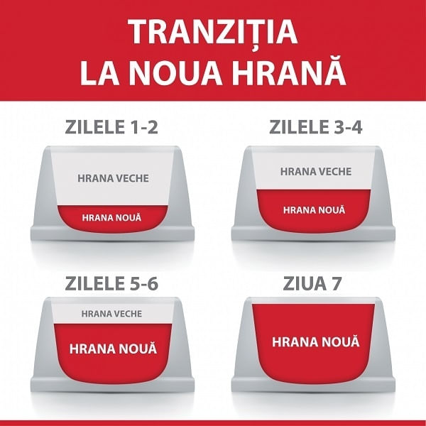 tranzitie-hrana2782