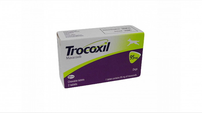 trocoxil-95-mg-2-tablete-masticabile-1922-5597