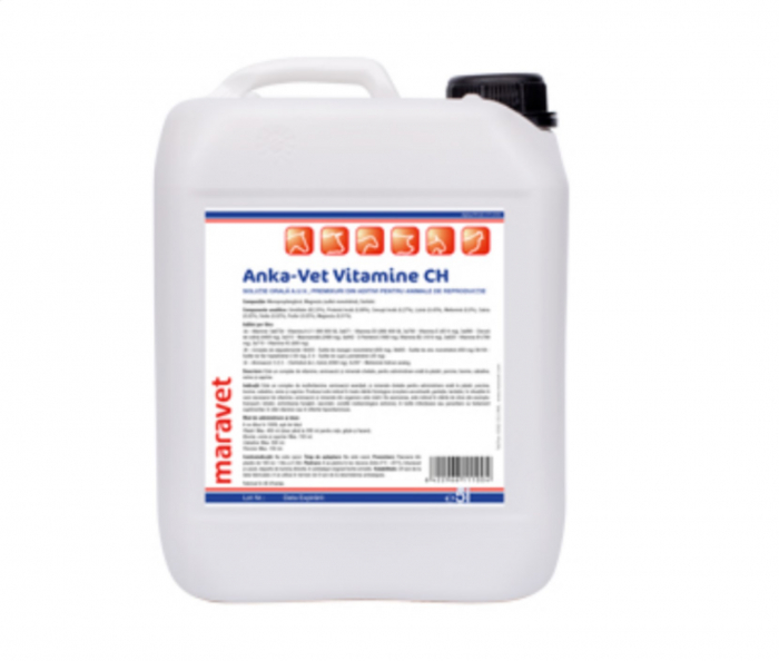 vitamine-pentru-animale-anka-vet-vitamin-ch-1-l-copie-1572-8423