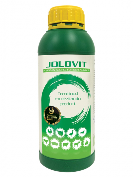 vitamine-pentru-animale-anka-vet-vitamin-ch-5-l-copie-1573-9567
