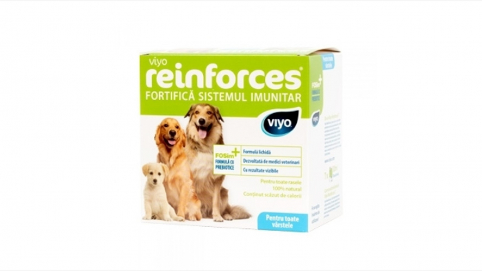 viyo-reinforces-for-cats-all-ages-30-x-30-ml-copie-850-1202