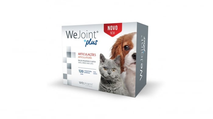 wejoint-plus-small-breeds-and-cats-talie-mica-si-pisici-484-88382438