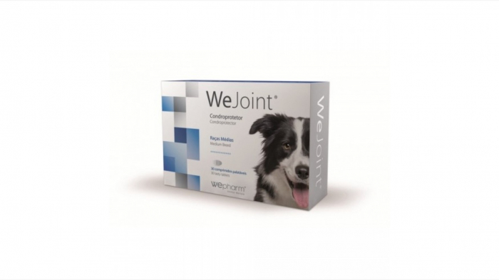 wejoint-small-breeds-and-cats-30-tb-copie-691-1750