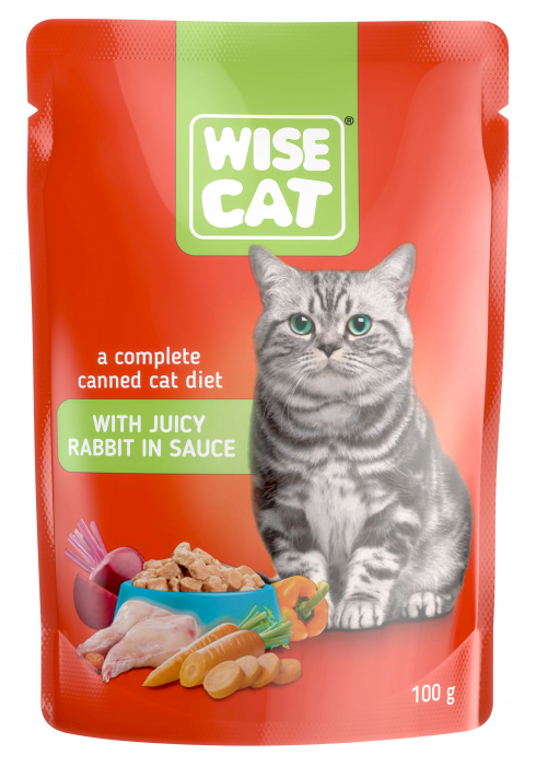 wise-cat-hrana-umeda-pentru-pisici-cu-peste-in-sos-24x100-g-copie-0107178568