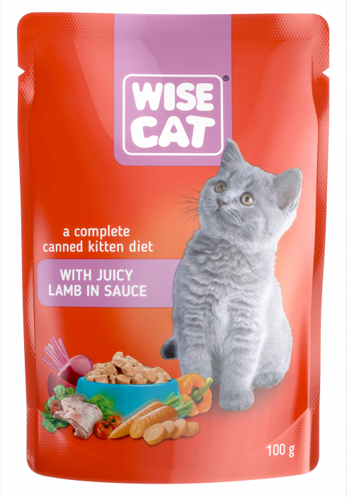 wise-cat-hrana-umeda-pentru-pisici-suculenta-cu-rata-in-jeleu-100-g-copie-6408839818
