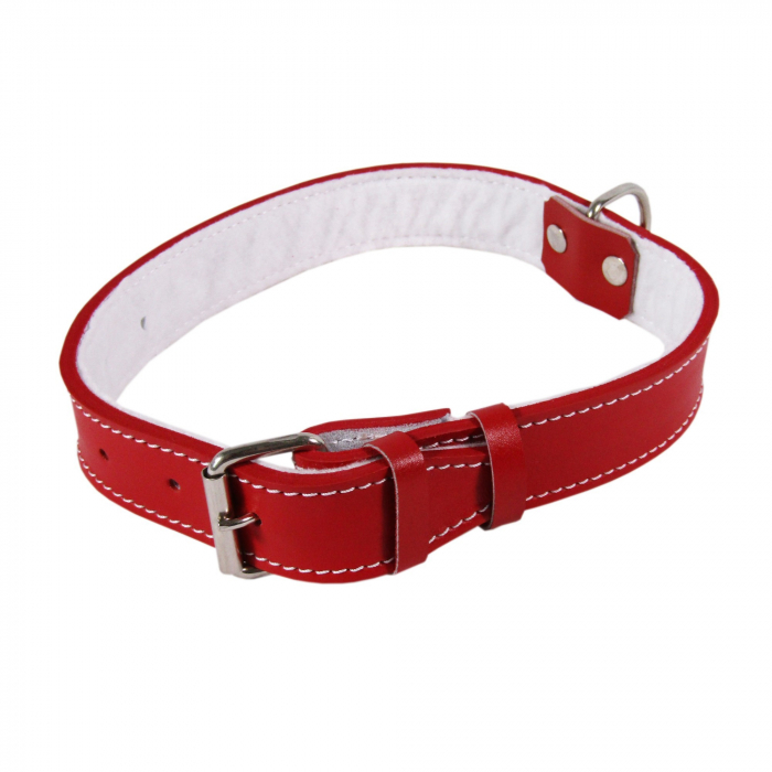 zgarda-piele-tip-14-36-cm-14-mm-cu-pasla-rosu-2224-9896
