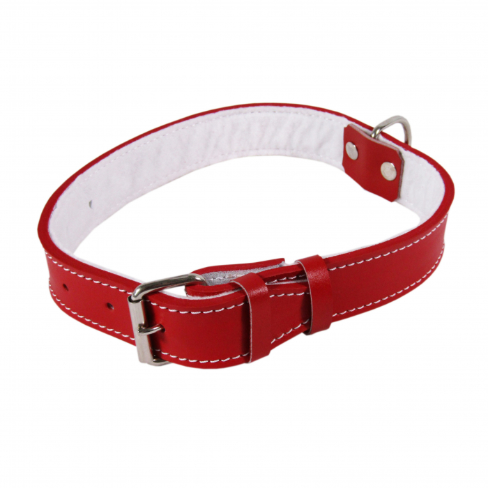zgarda-piele-tip-25-58-cm-25-mm-cu-pasla-rosu-1975-5854