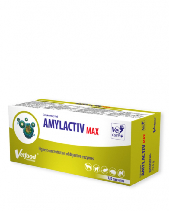 amylactiv-digest-30-capsule-copie-029862