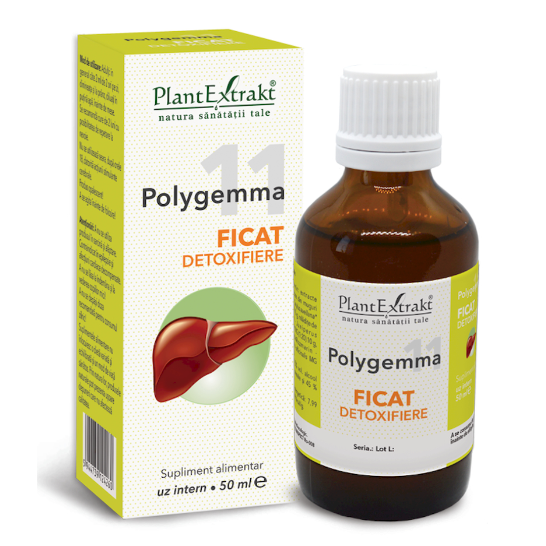 polygemma-11-ficat