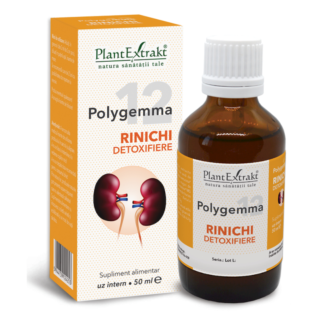 polygemma-12-rinichi