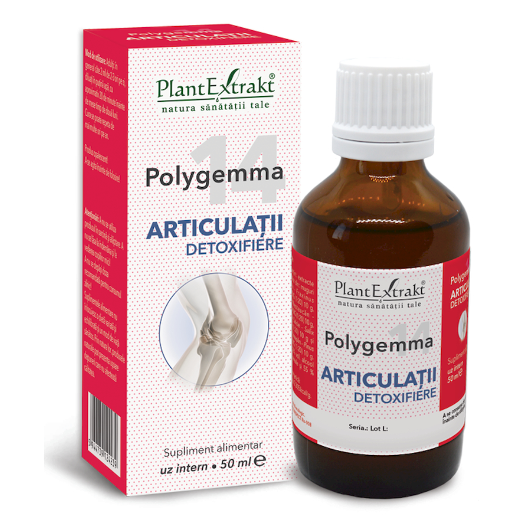 polygemma-14-articulatii