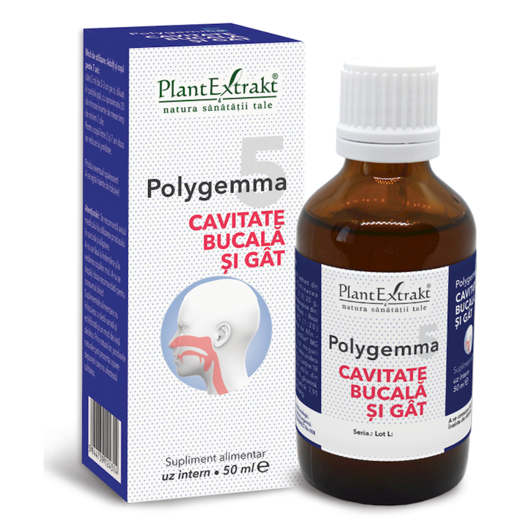 polygemma-5-articulatii