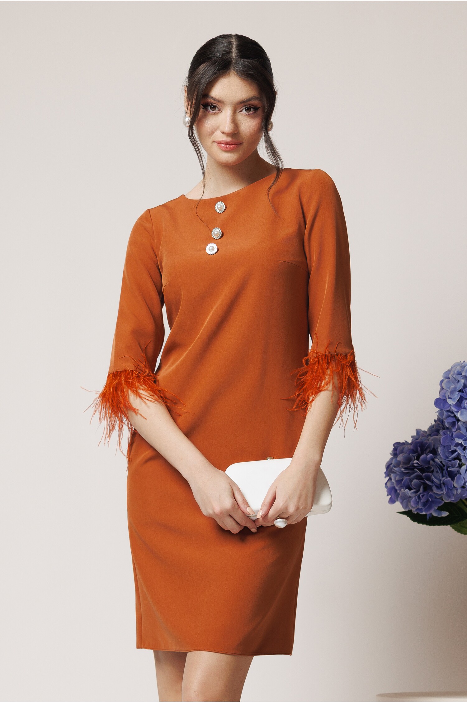 rochie-eleganta-din-stofa-maro-cu-nasturi-la-bust-si-pene-la-maneci-1358897-1100795-4